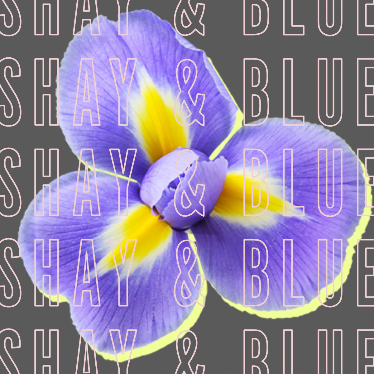 Shay & Blue и парфюмер Жюли Массе представили аромат Cotton Flower