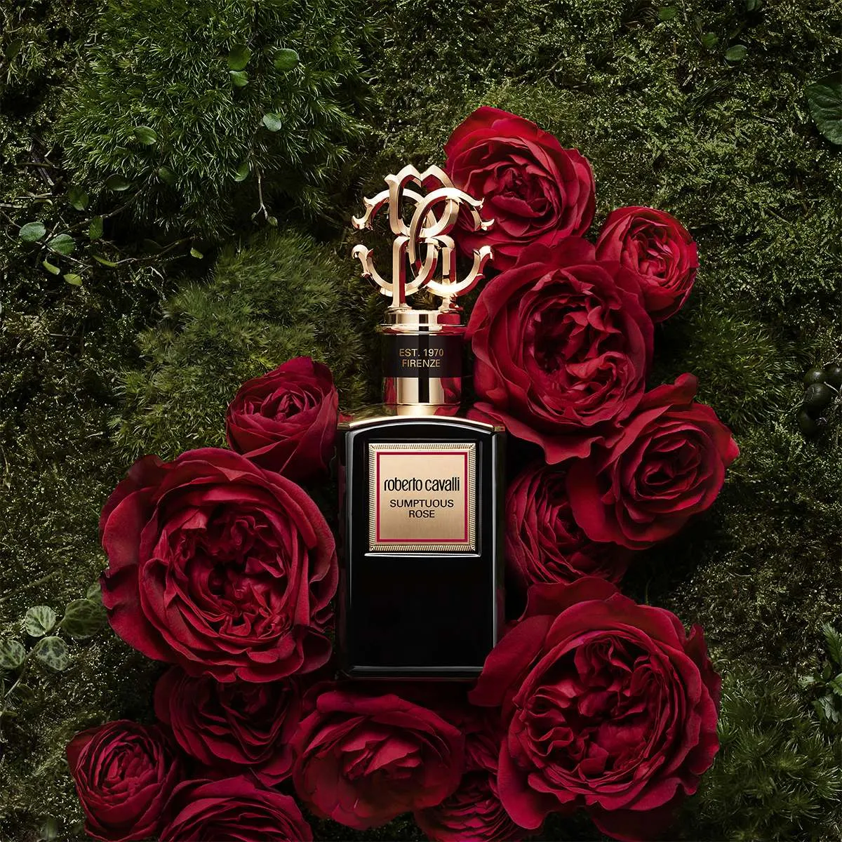 Roberto Cavalli пополнили коллекцию Golden ароматом Frantic Rose Roberto Cavalli пополнили коллекцию Golden ароматом Frantic Rose