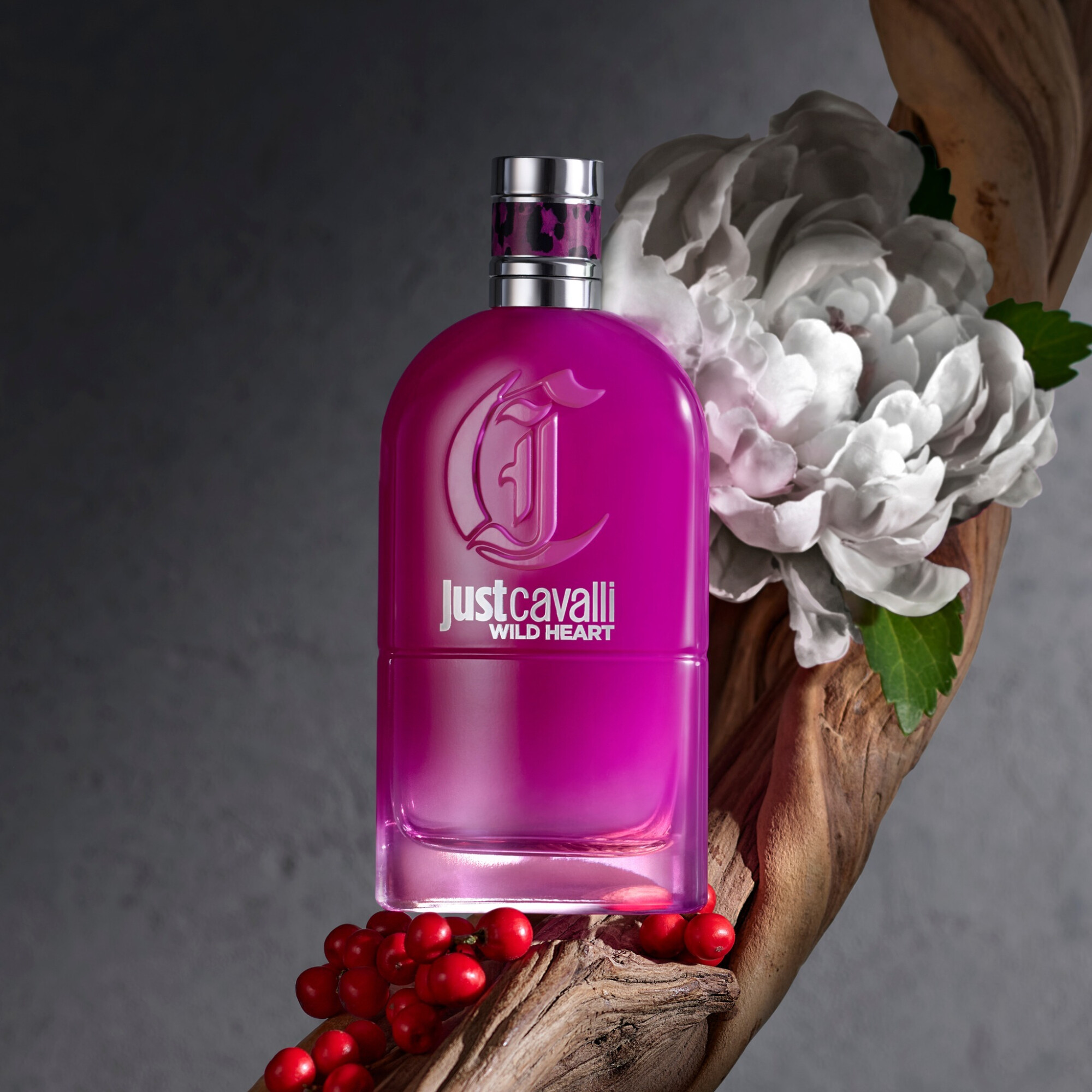 Roberto Cavalli представили парные фланкеры Just Cavalli Wild Heart Roberto Cavalli представили парные фланкеры Just Cavalli Wild Heart
