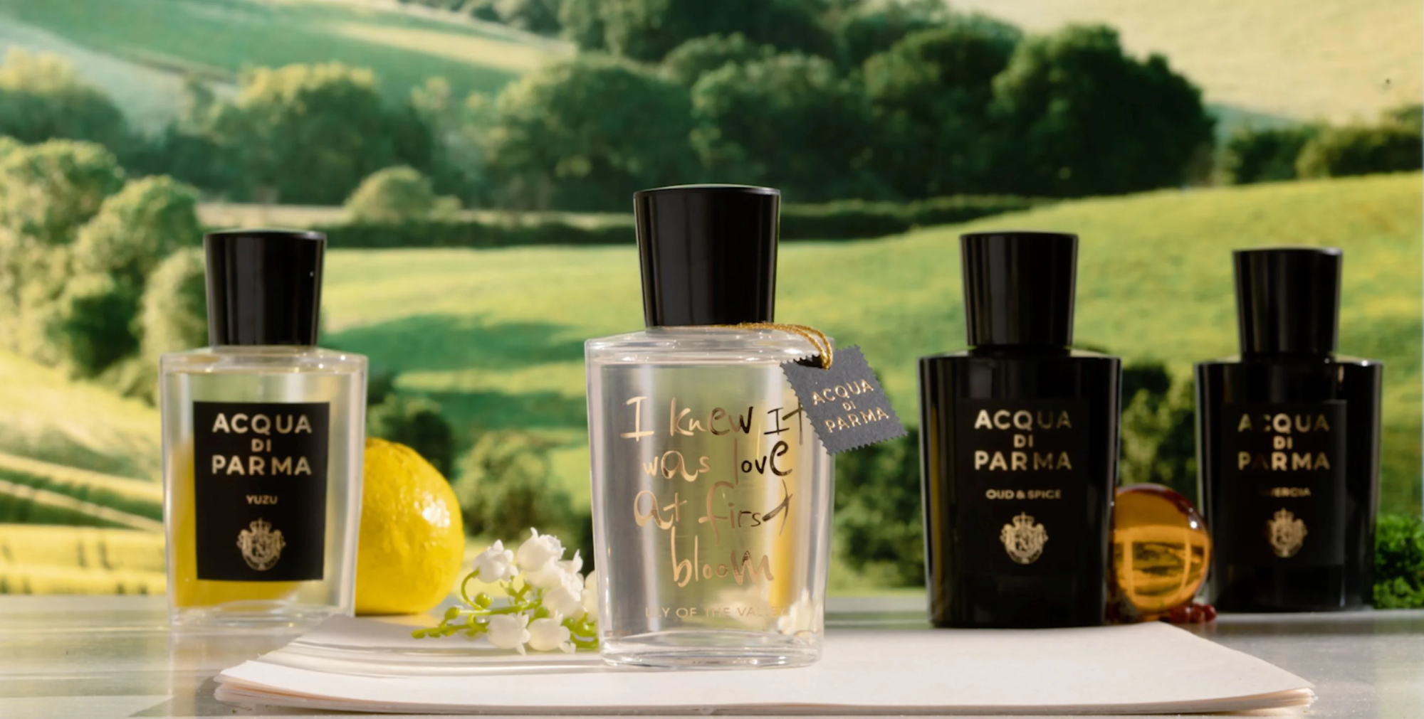 Acqua di Parma перевыпустят Magnolia Infinita ко Дню святого Валентина Acqua di Parma перевыпустят Magnolia Infinita ко Дню святого Валентина