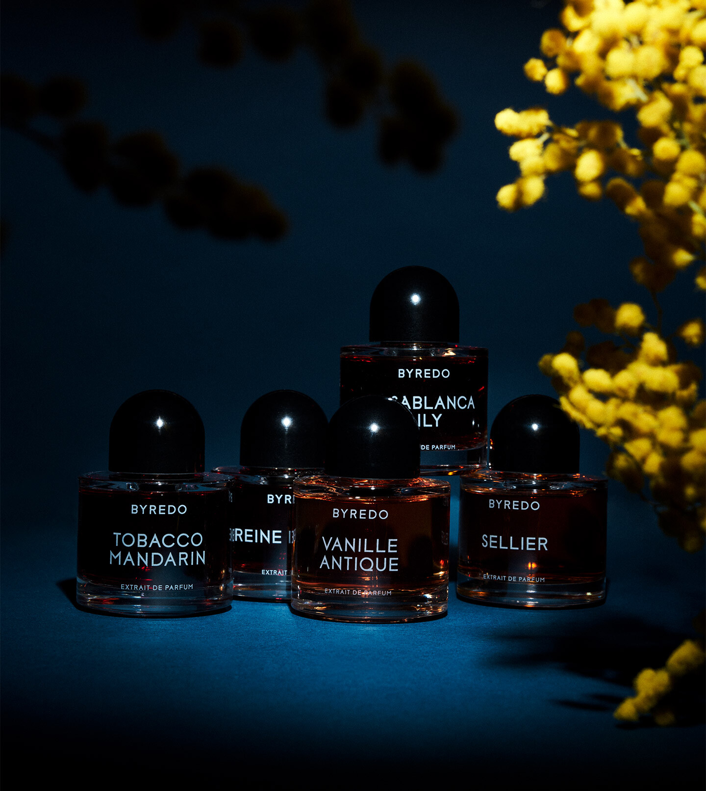 Byredo пополнили коллекцию Night Veils ароматом Rouge Chaotique Byredo пополнили коллекцию Night Veils ароматом Rouge Chaotique