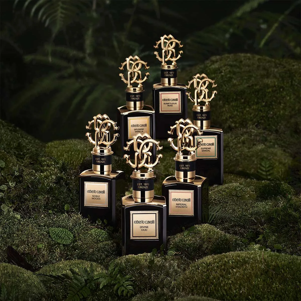 Roberto Cavalli пополнили коллекцию Golden ароматом Frantic Rose Roberto Cavalli пополнили коллекцию Golden ароматом Frantic Rose