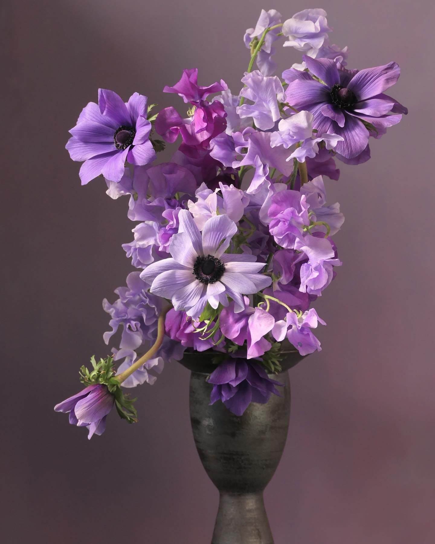 Вдохновленный Киото: Régime des Fleurs выпустили Himitsu