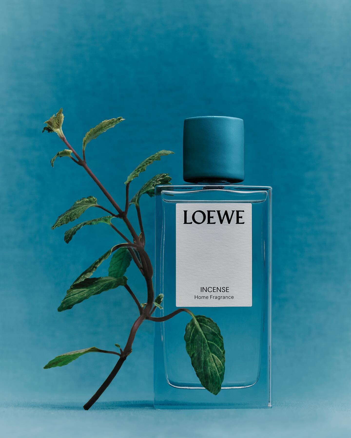 Loewe пополнили коллекцию для дома Home Scents новыми ароматами