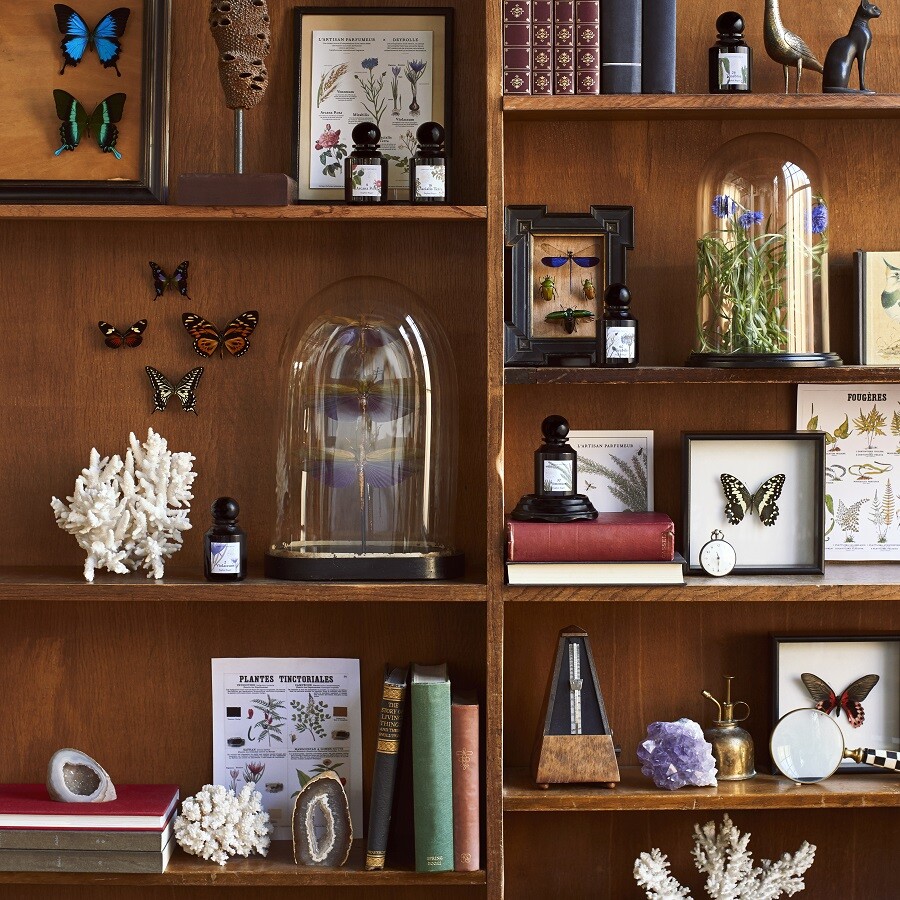 Издание 33 Abyssae из коллекции La Botanique L'Artisan Parfumeur — уже в России Издание 33 Abyssae из коллекции La Botanique L'Artisan Parfumeur — уже в России