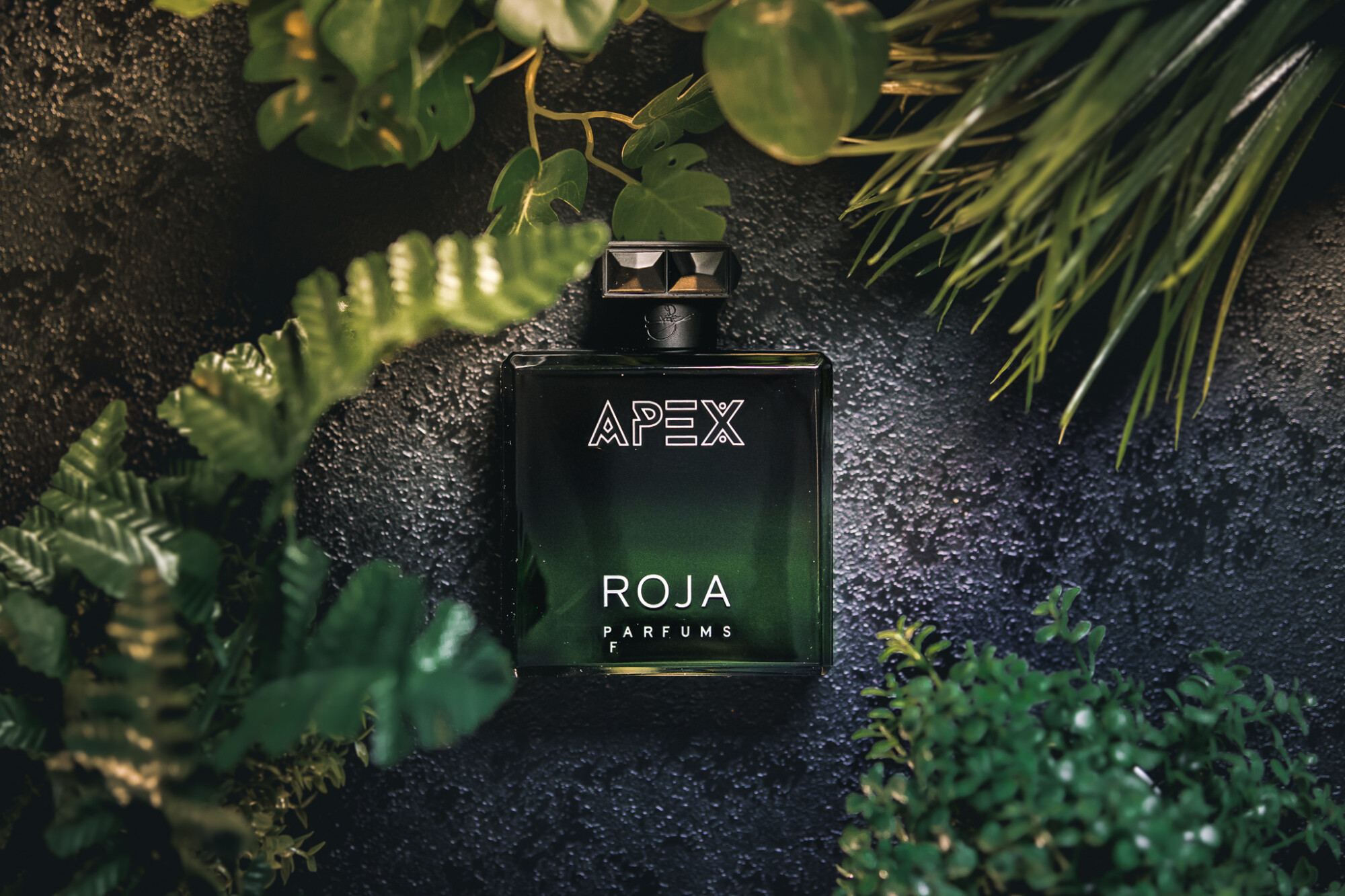 Roja Parfums представили Apex — теперь в формате духов Roja Parfums представили Apex — теперь в формате духов