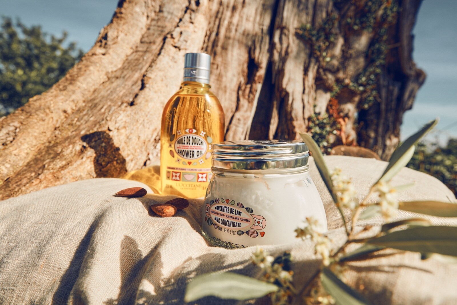 L’Occitane показали новую лимитированную коллекцию Almond & Flowers L’Occitane показали новую лимитированную коллекцию Almond & Flowers