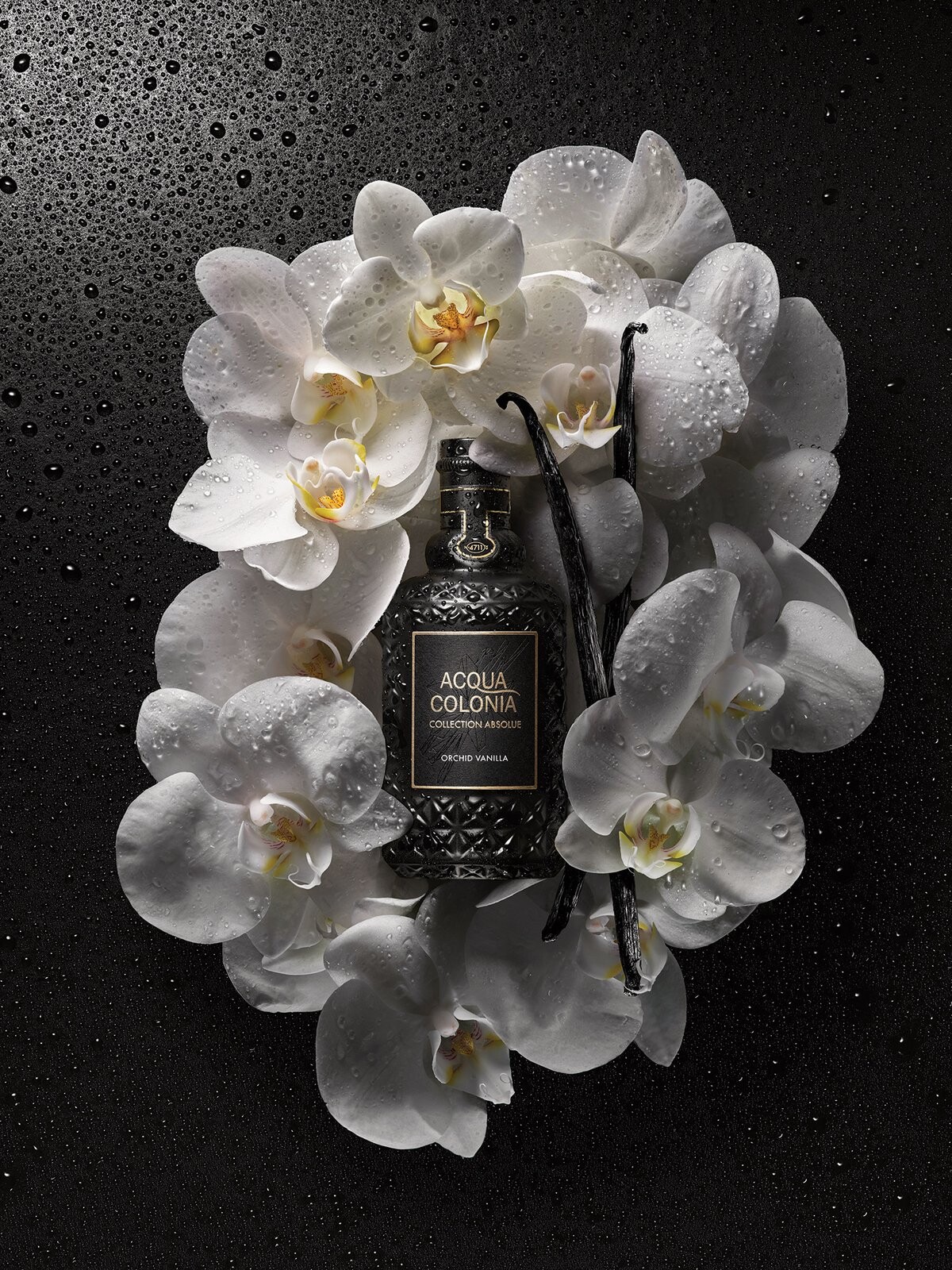 Mäurer & Wirtz представили новую коллекцию 4711 Acqua Colonia Collection Absolue Mäurer & Wirtz представили новую коллекцию 4711 Acqua Colonia Collection Absolue