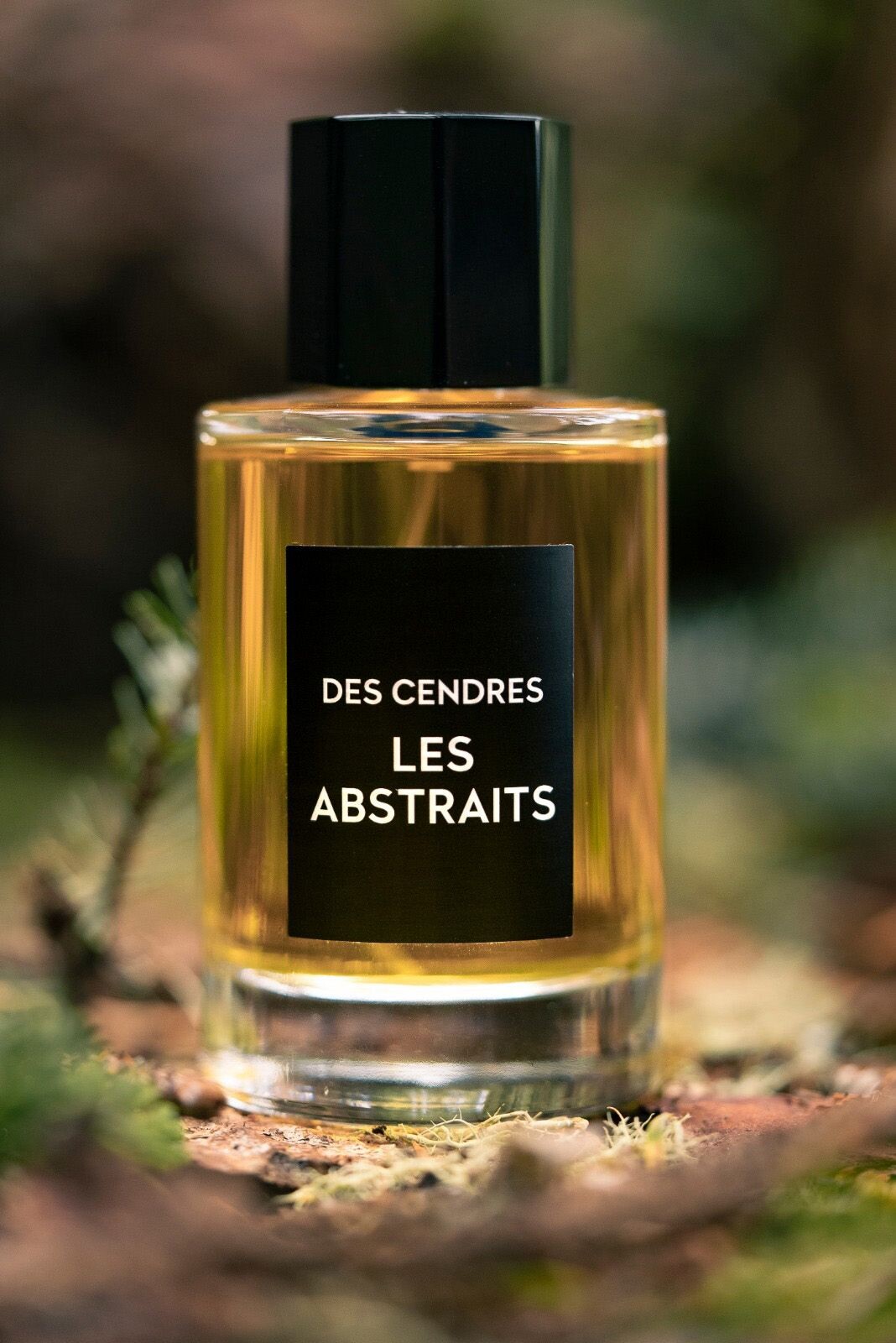 Антуан Ли составил Des Cendres для нишевого бренда Les Abstraits Антуан Ли составил Des Cendres для нишевого бренда Les Abstraits