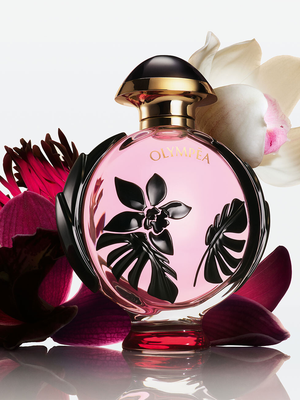Paco Rabanne выпустили Invictus Victory Elixir и Olympea Flora Paco Rabanne выпустили Invictus Victory Elixir и Olympea Flora