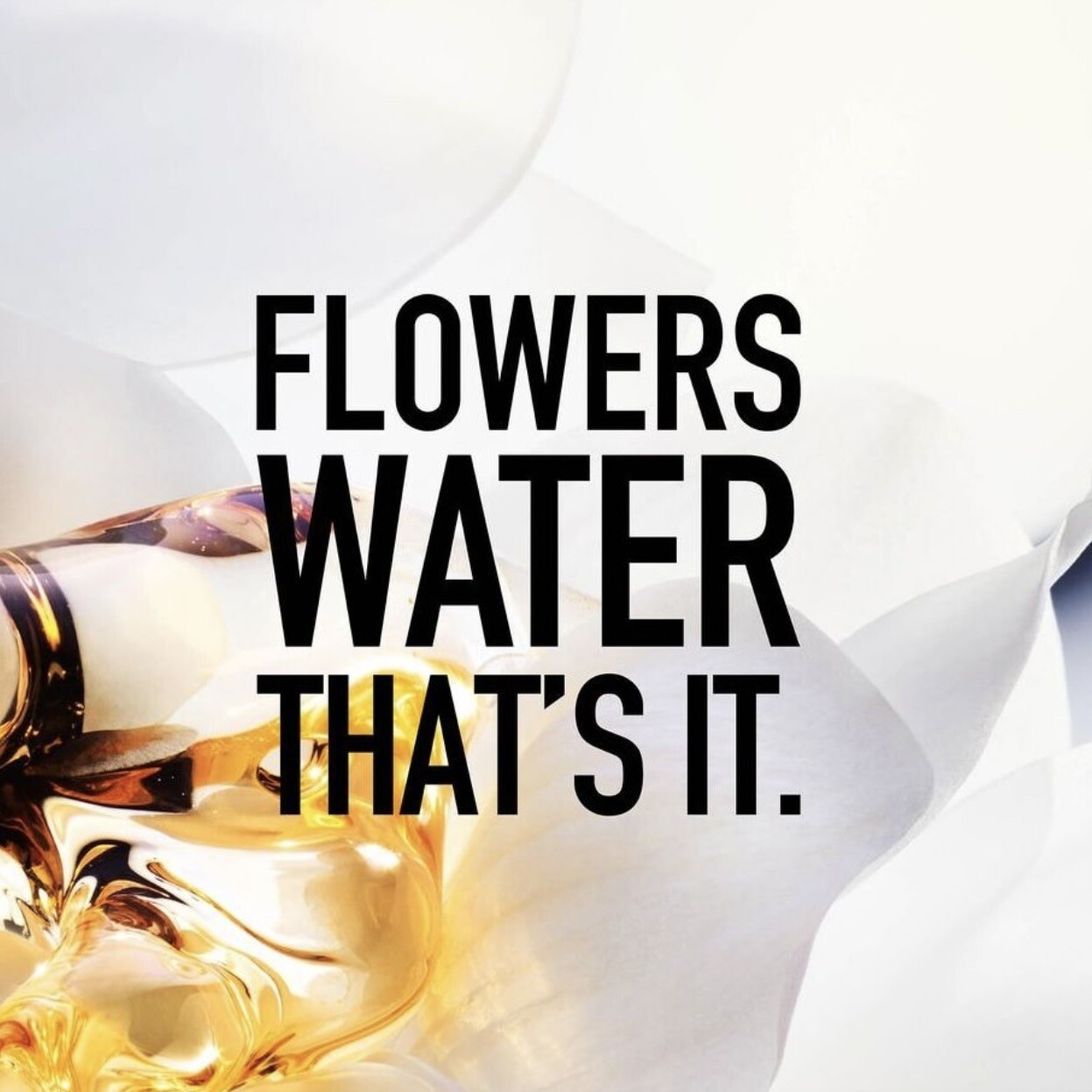 Dior анонсировали выпуск аромата J'adore Parfum d'Eau Dior анонсировали выпуск аромата J'adore Parfum d'Eau