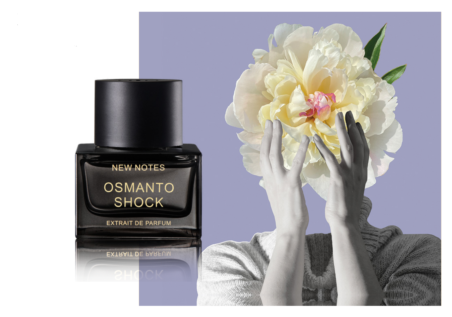 Знакомьтесь, новый бренд: New Notes Extrait de Parfums Знакомьтесь, новый бренд: New Notes Extrait de Parfums