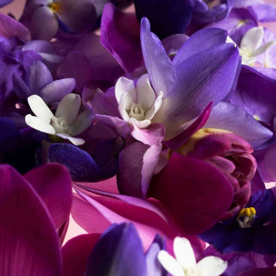 Shiseido посвятили Ginza Murasaki глицинии и фиолетовому цвету Shiseido посвятили Ginza Murasaki глицинии и фиолетовому цвету