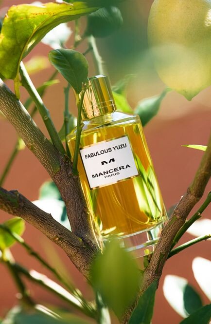 Модный цитрус: Mancera анонсировали запуск Fabulous Yuzu Модный цитрус: Mancera анонсировали запуск Fabulous Yuzu