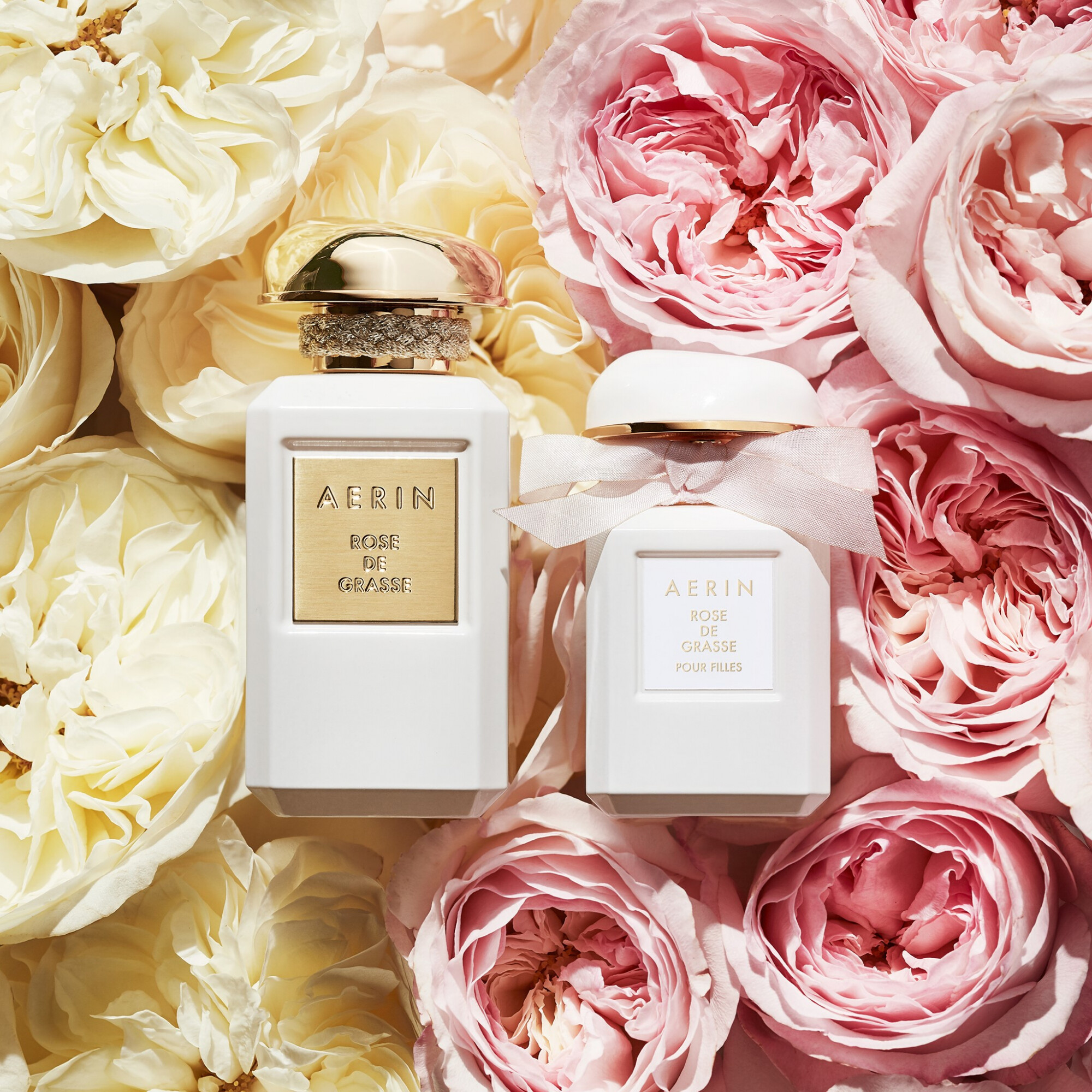 Aerin Rose de Grasse Joyful Bloom