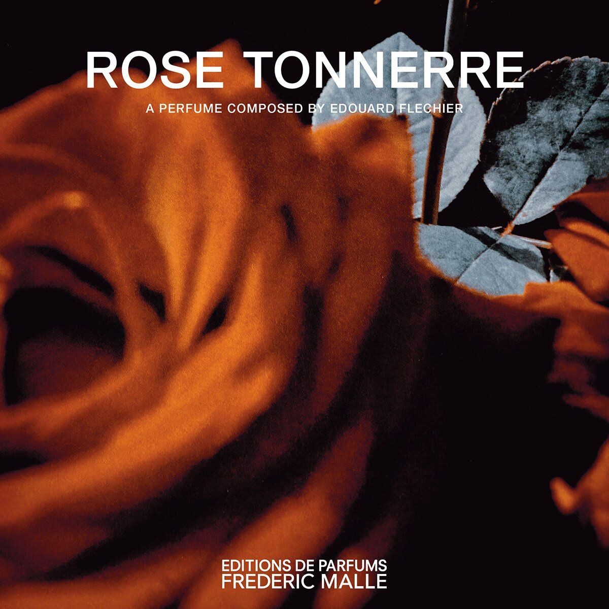 Editions de Parfums Frédéric Malle переименовывают аромат Une Rose Editions de Parfums Frédéric Malle переименовывают аромат Une Rose