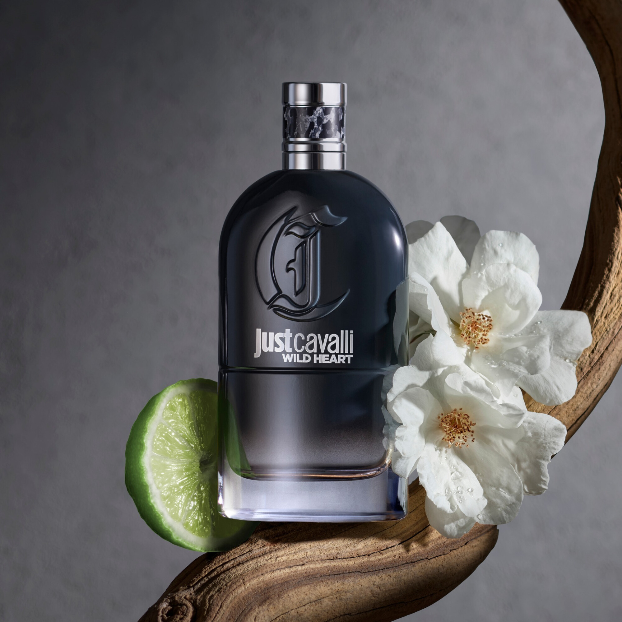 Roberto Cavalli представили парные фланкеры Just Cavalli Wild Heart Roberto Cavalli представили парные фланкеры Just Cavalli Wild Heart