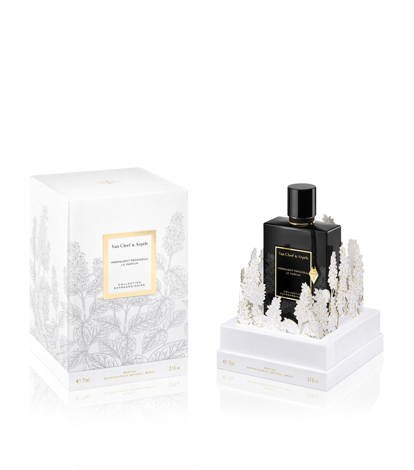 Van Cleef & Arpels пополнили линию Extraordinaire ароматом Moonlight Rose Van Cleef & Arpels пополнили линию Extraordinaire ароматом Moonlight Rose