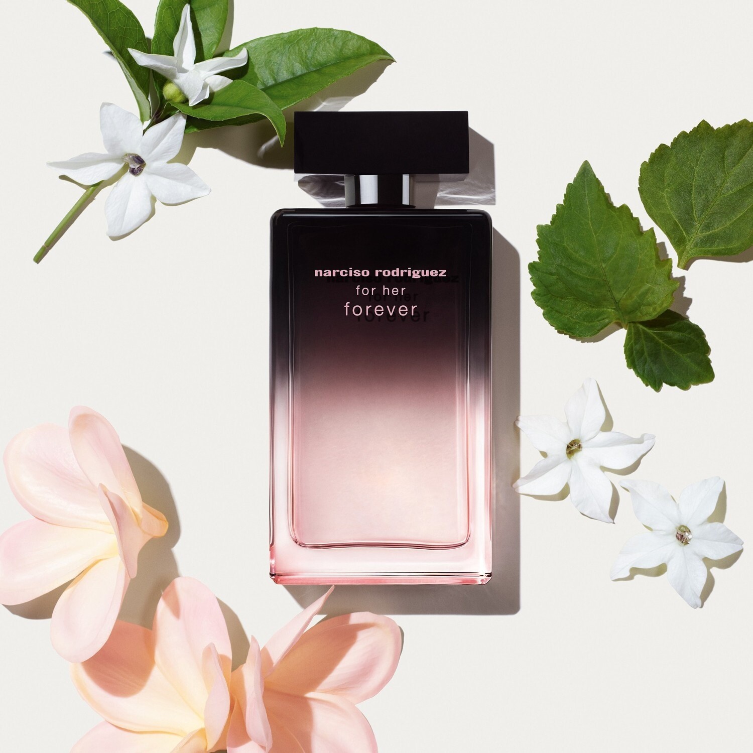 Франжипани, гардения, османтус: Narciso Rodriguez анонсировали For Her Forever Франжипани, гардения, османтус: Narciso Rodriguez анонсировали For Her Forever